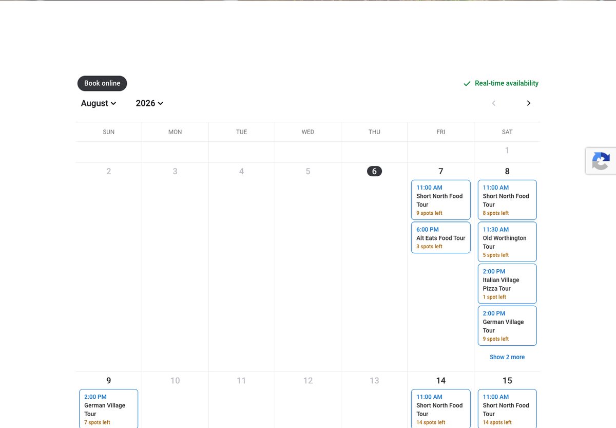 The old calendar page: the stock booking software grid in default blue and grey.